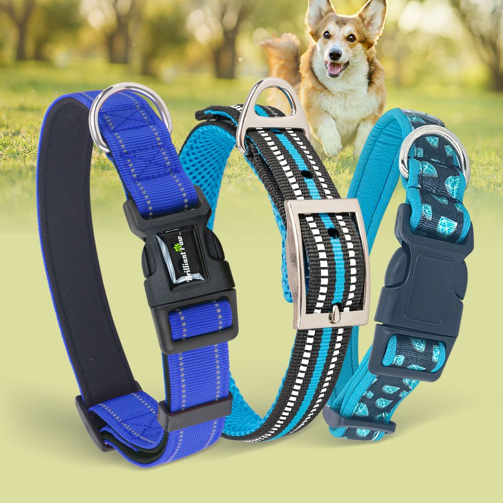 Wholesale Neoprene Padded Dog Collar Tailored Corporate Gift